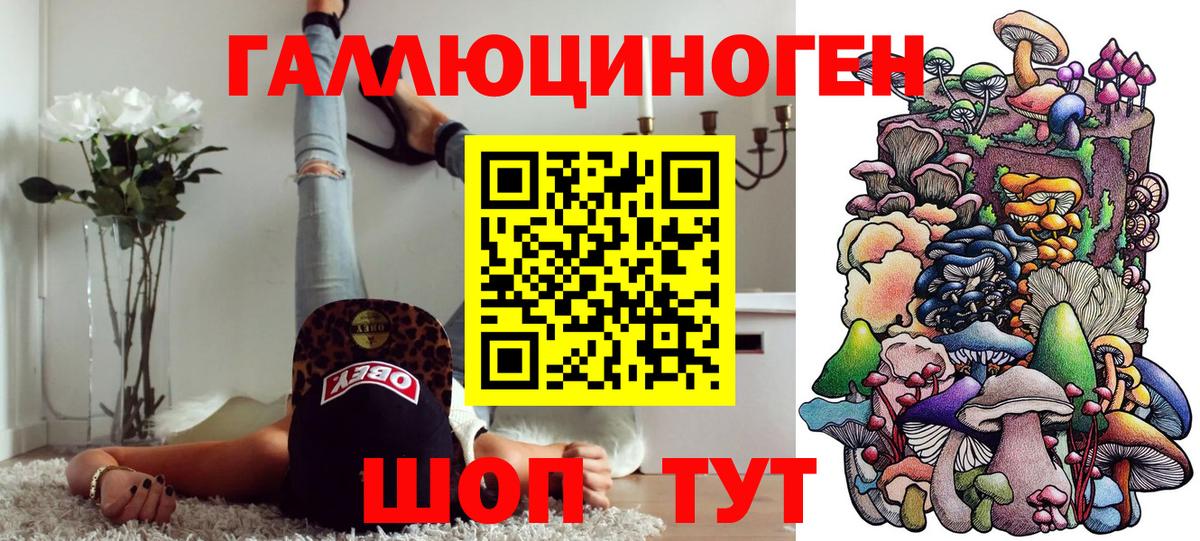 Наро-Фоминск  Галлюциногенные грибы Cubensis  Вход с VPN 
