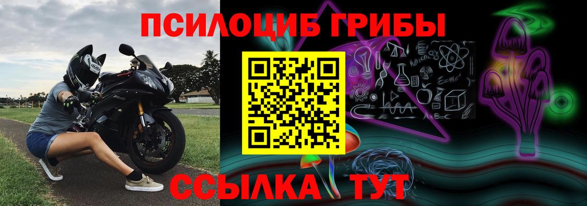 Псилоцибиновые грибы Psilocybine cubensis Наро-Фоминск
